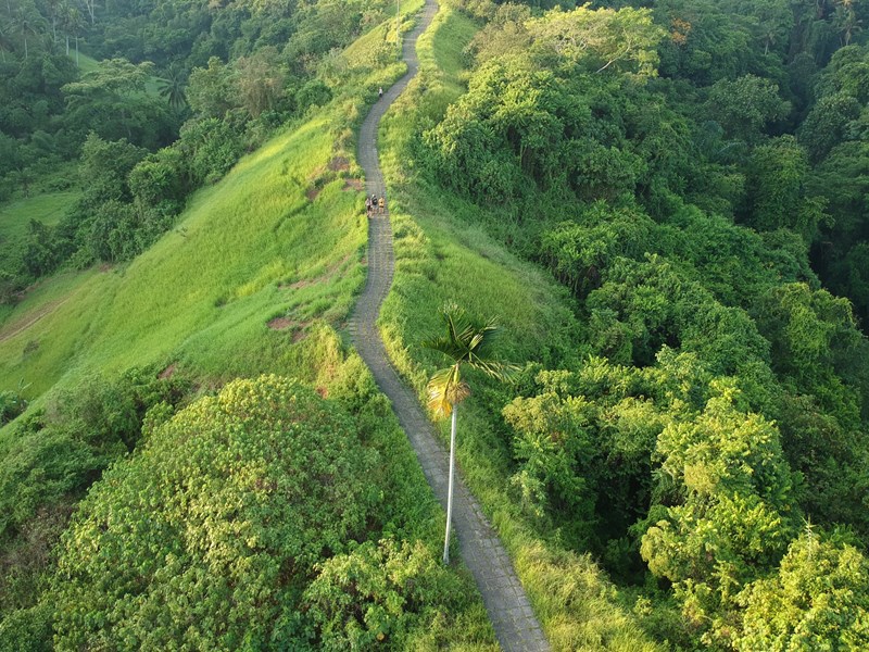 Le Campuhan Ridge Walk 