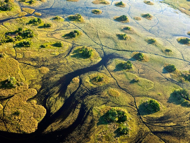 Profitez de vues imprenables sur le paysage inondé