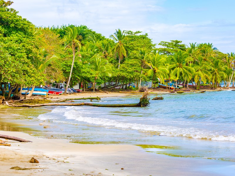 Accédez à une superbe plage sauvage
