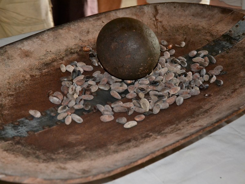 Découverte des traditions et savoirs autour du cacao
