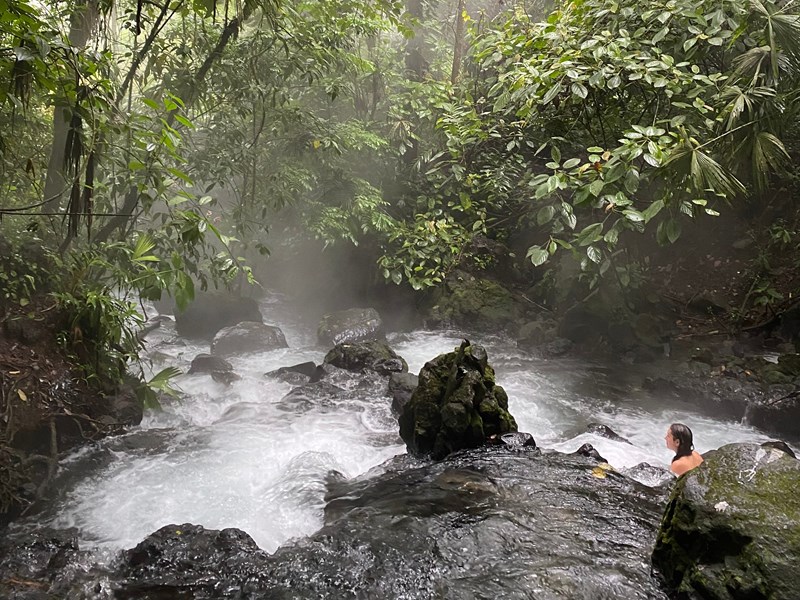 Bien-être naturel au coeur de la jungle