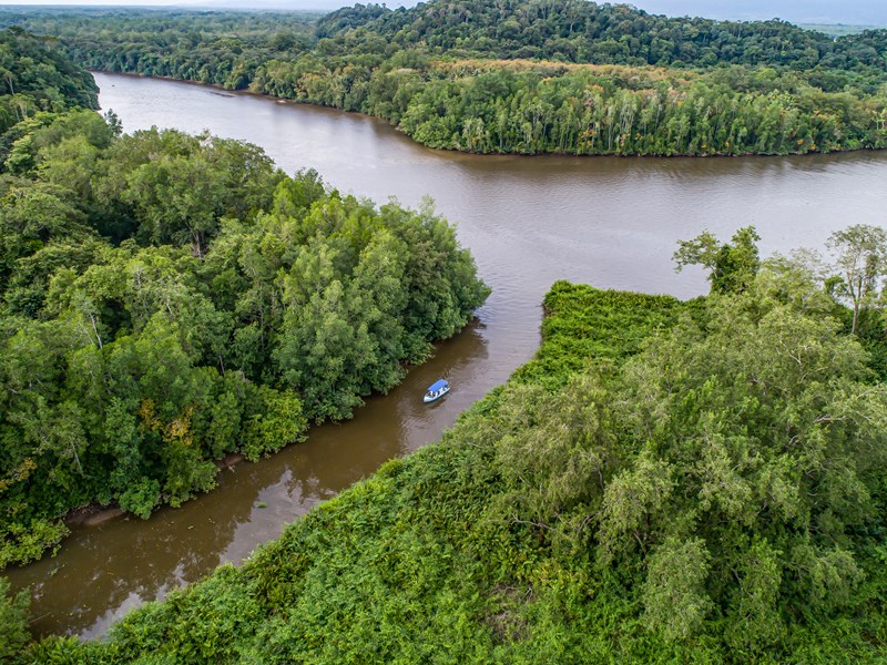 Sierpe, entre mangroves et rivières sinueuses