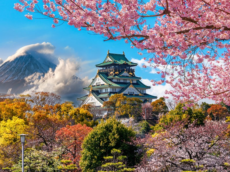 Découvrez le château des hauts-lieux d'Osaka