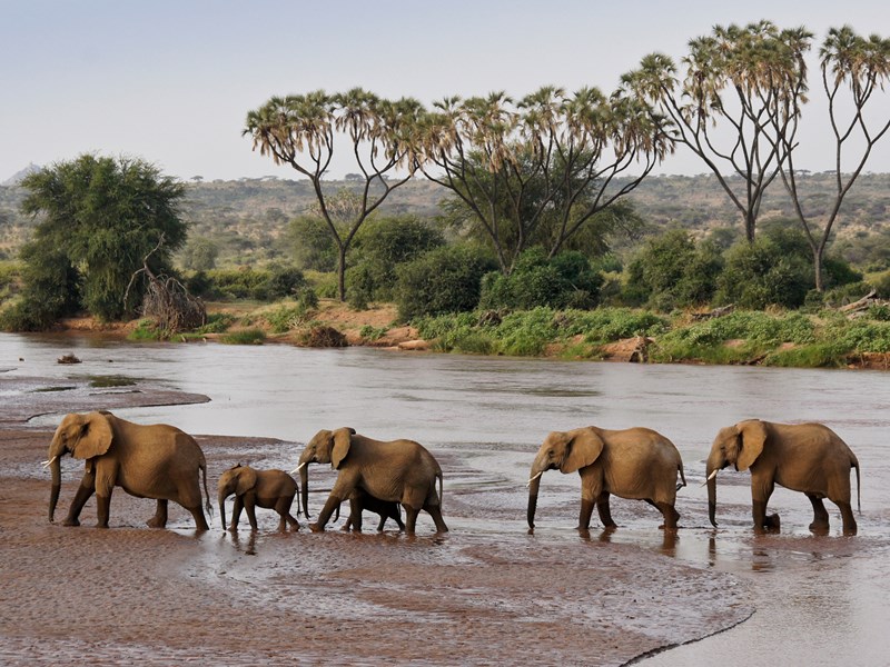 Contraste saisissant entre savane, rivières et collines dorées