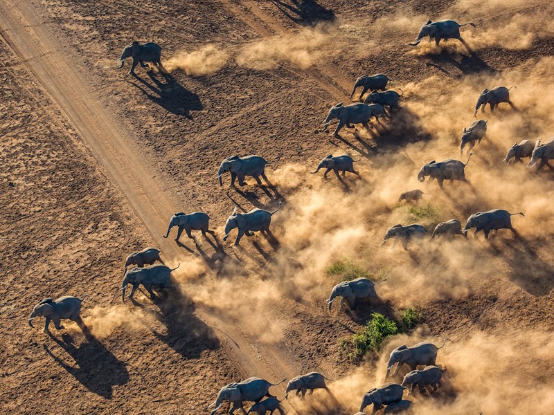Le Masai Mara, théâtre vivant où la faune raconte l’histoire de la savane