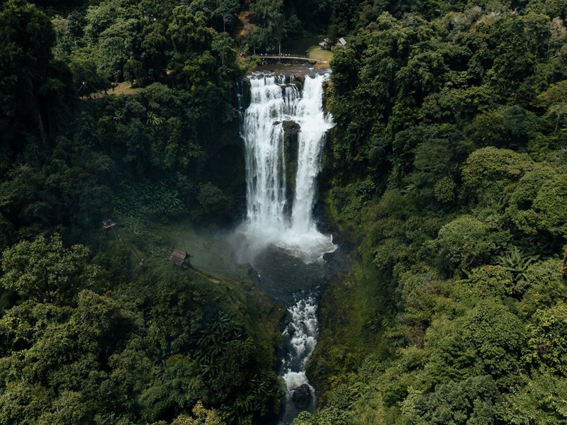 Entrez au cœur d'une nature luxuriante à Pakse