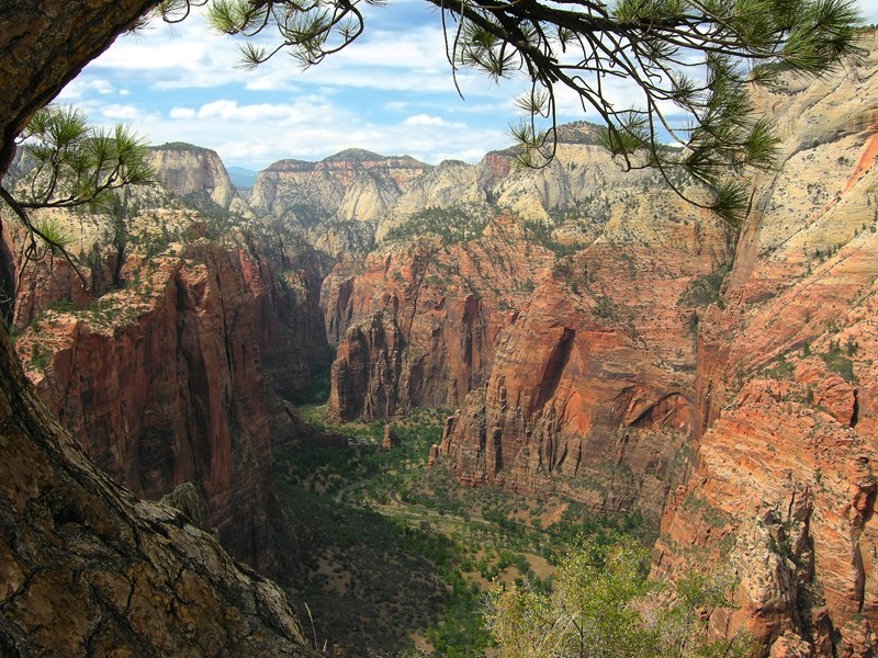Admirez les falaises de Navajo Sandstone