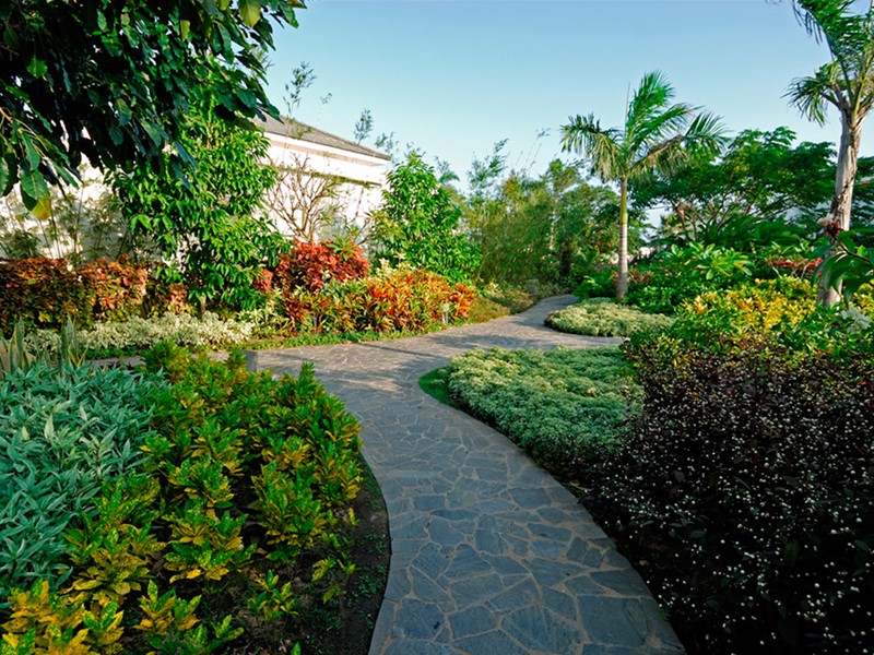 Le magnifique jardin verdoyant de l'hôtel Princess d'Annam