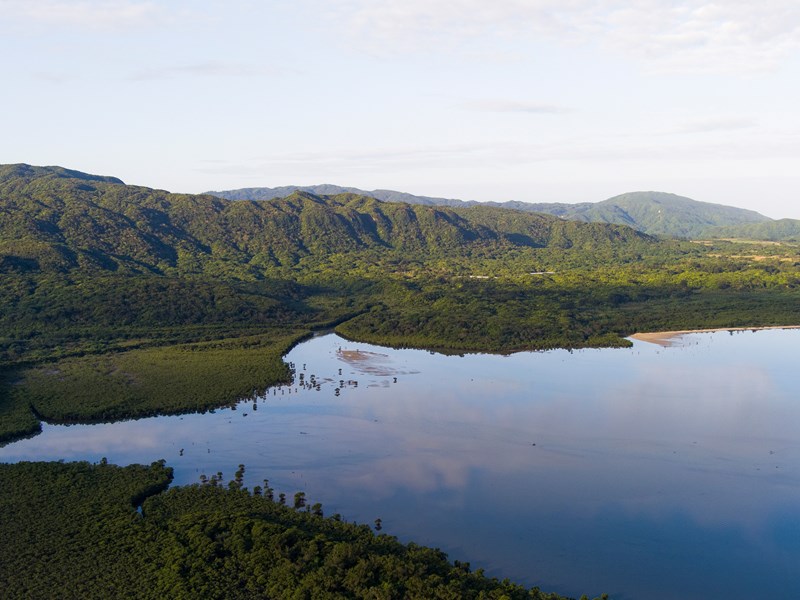 Le cadre verdoyant de l'île d'Iriomote