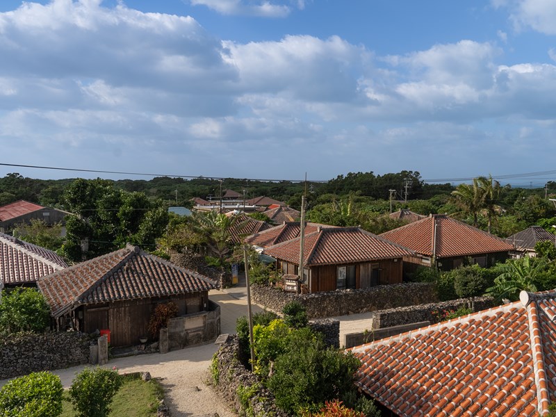 Plongez dans le mode de vie traditionnel de Taketomi