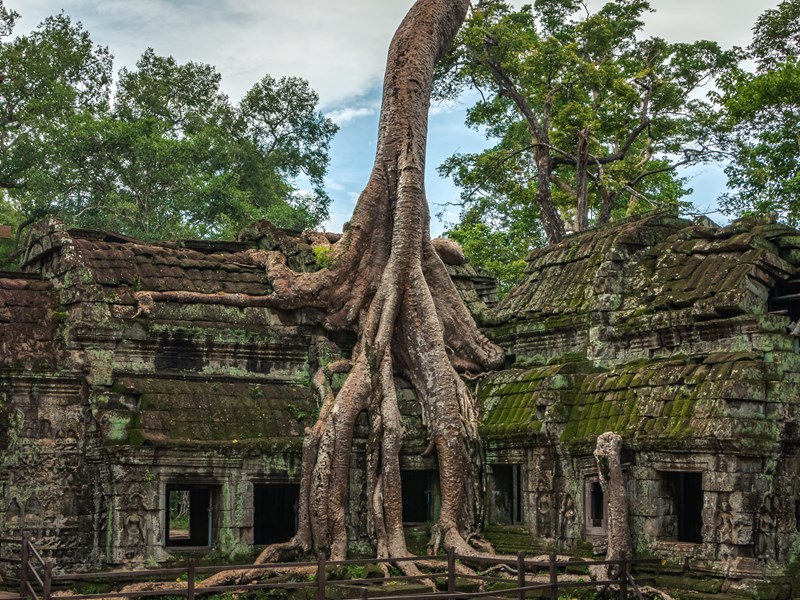 L'impressionnant Ta Prohm