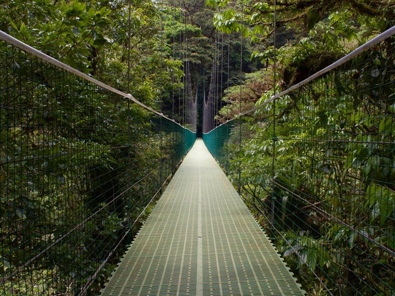 Traversez des ponts suspendus
