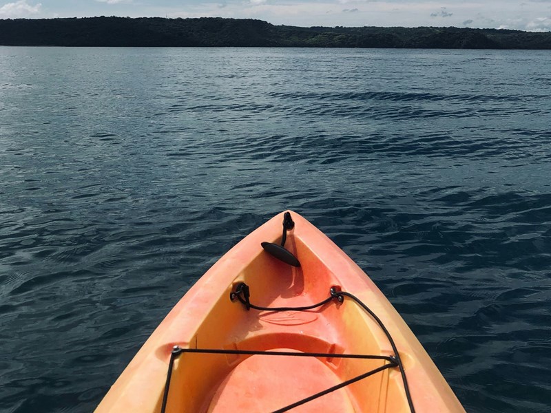 Faites du kayak dans les mangroves et au pied des volcans