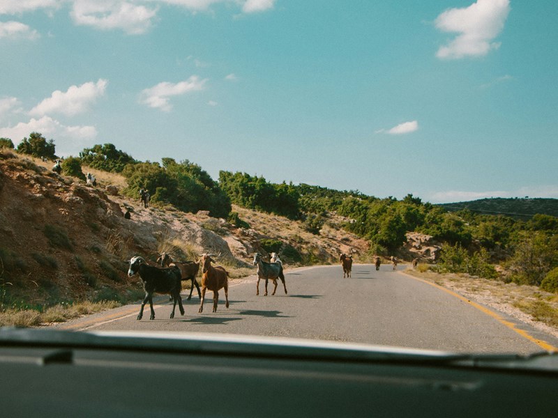 Un roadtrip à travers les terres du Péloponnèse