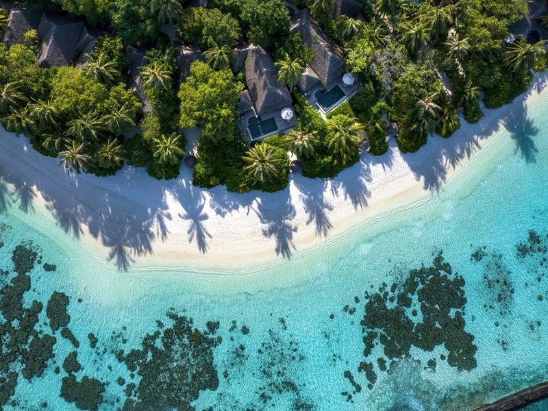 L'environnement enchanteur des Maldives