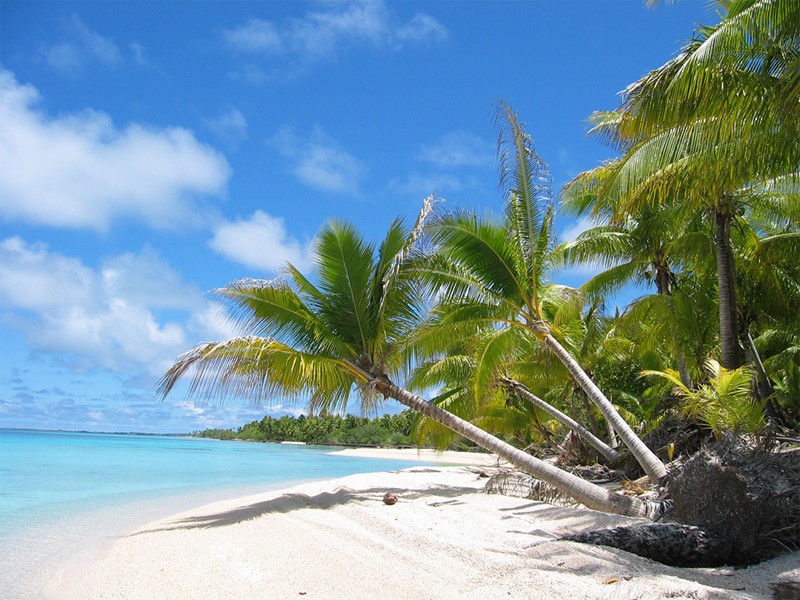 La plage de l'hôtel Raimiti Fakarava, en Polynésie