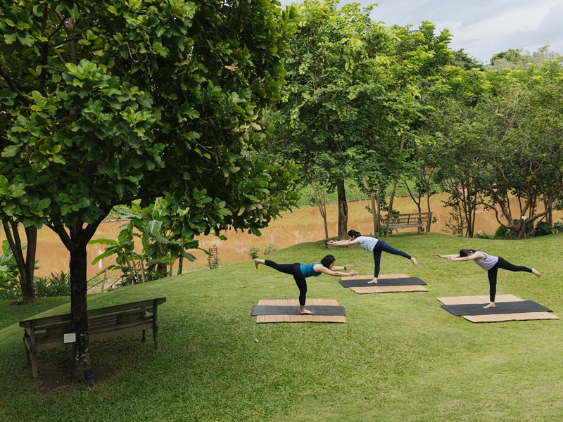 Profitez d'une séance de yoga dans les jardins