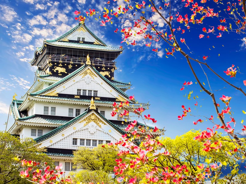 Émerveillement devant le château d'Osaka