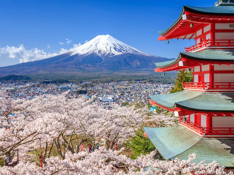 Admirez la vue sur le mont Fuji depuis la pagode Chureito