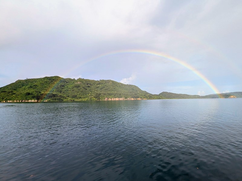 Iriomote, île tapissée d'une jungle épaisse 