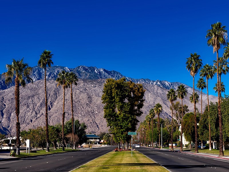 Le périple touche à sa fin en voyant les palmiers de Palm Springs