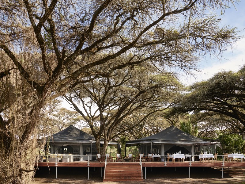 Le lounge et le restaurant nichés sous les acacias