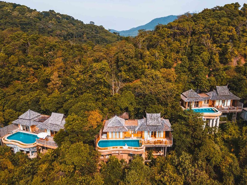 Un environnement luxuriant