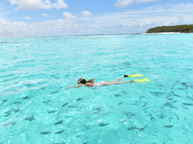 Explorez les exceptionnels fonds marins 