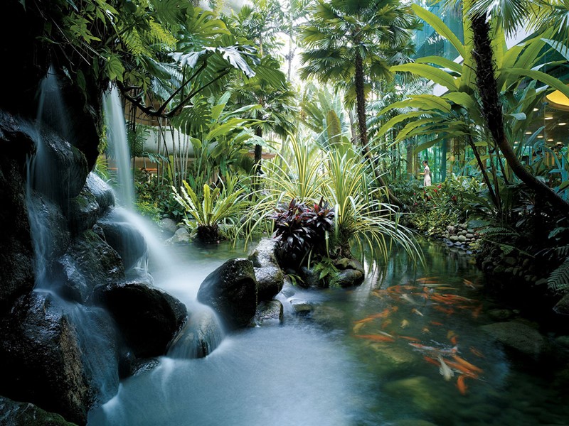 Le Shangri La est situé au coeur d'un magnifique jardin tropical