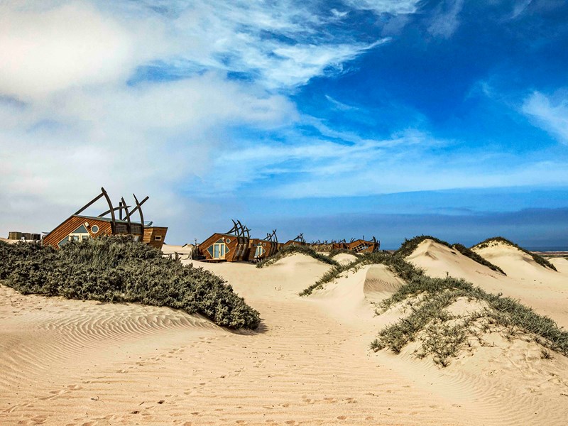 Disposés le long des dunes