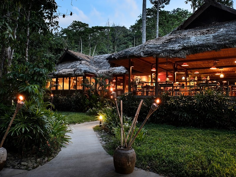 Un hôtel dépaysant, au coeur d'une forêt tropicale