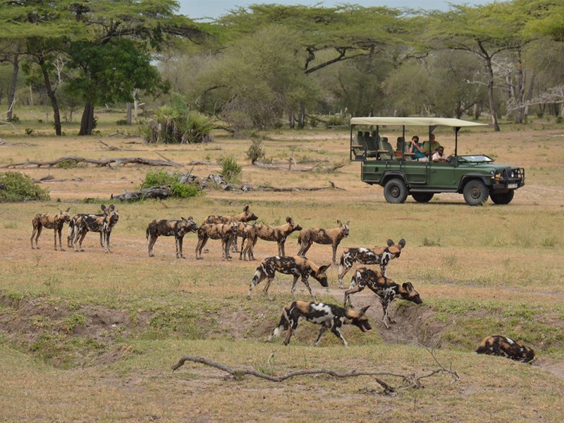 Profitez de vues magnifiques durant le Safari du Siwandu en Tanzanie