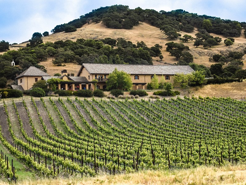 Napa Valley,et ses nombreuses productions de vin