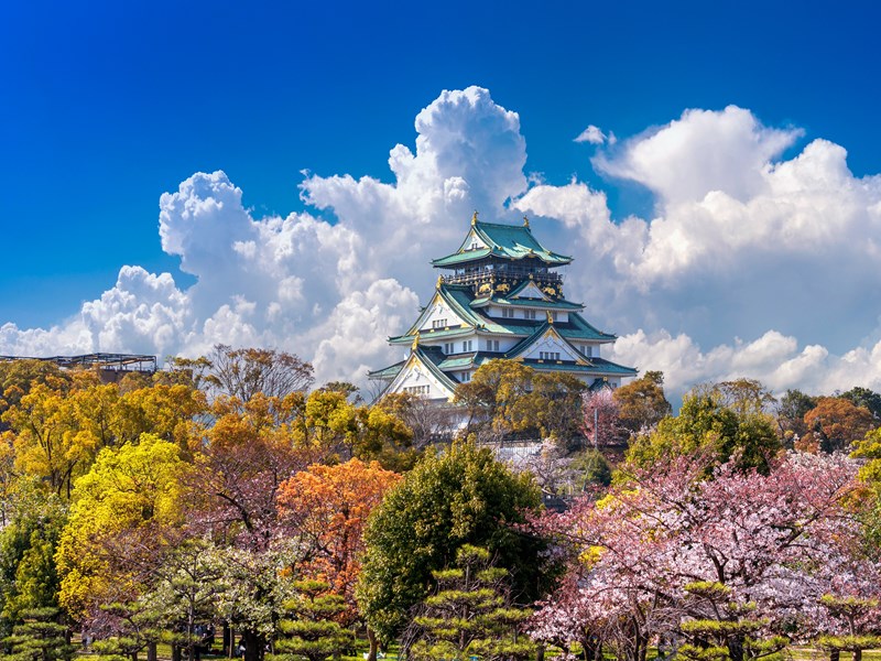 Le château d'Osaka sublimé par les cerisiers en fleurs
