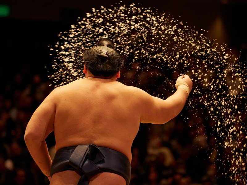Sumo à Tokyo : tradition et démonstration