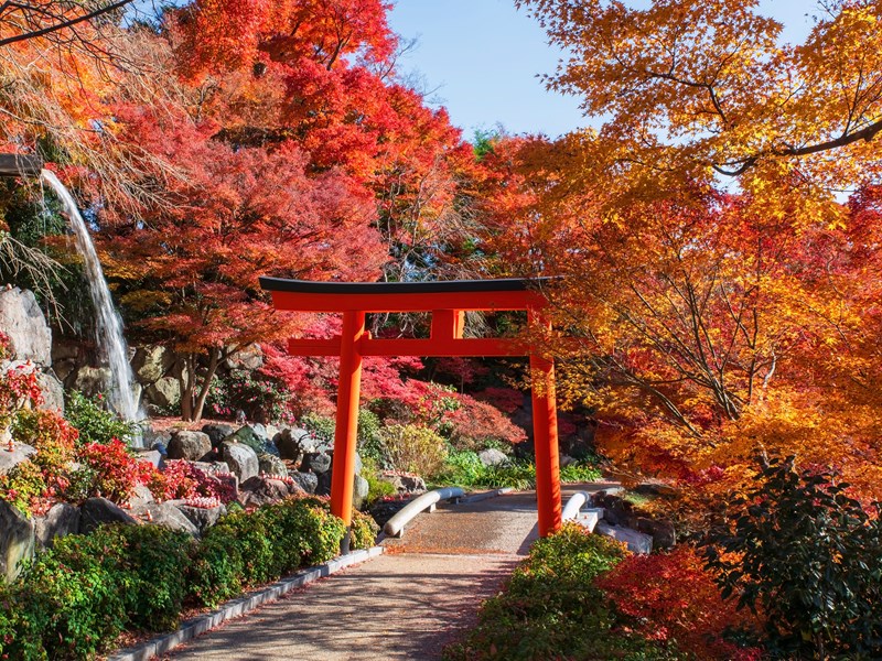 Jardin d'automne du temple Katsuoji, près d'Osaka