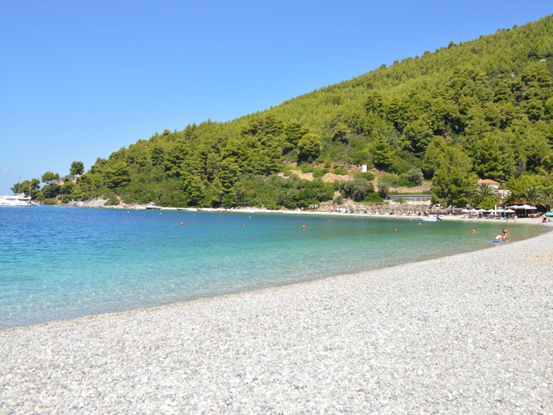 Les plages de Skopelos
