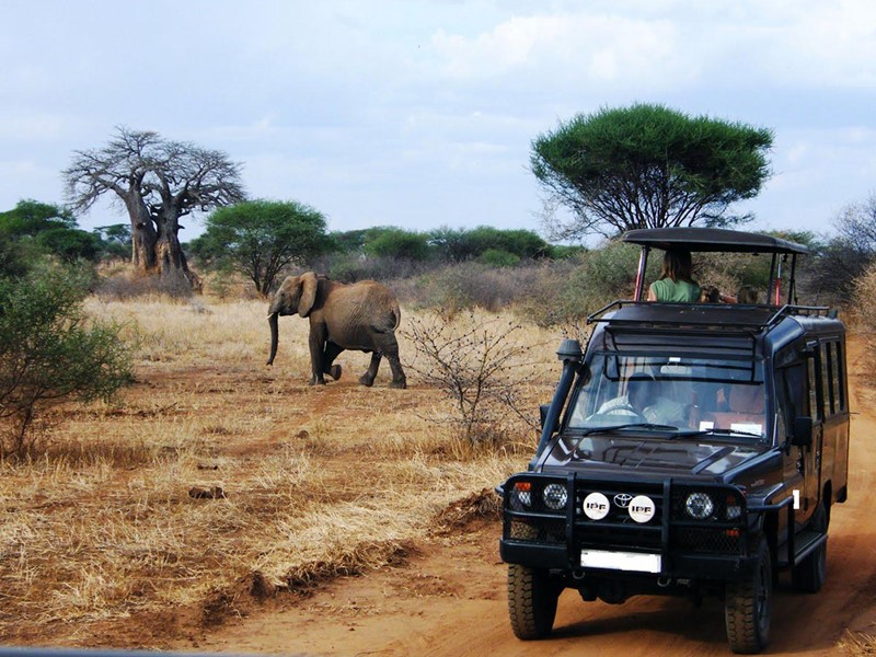 Safari dans le parc national de Tarangire