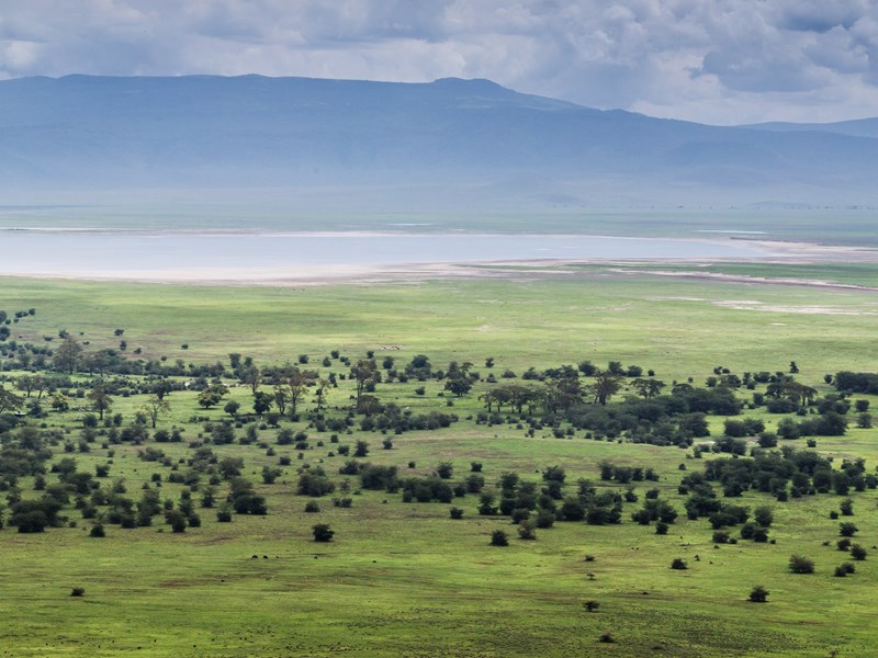 Ngorongoro, l'Eden Tanzanien