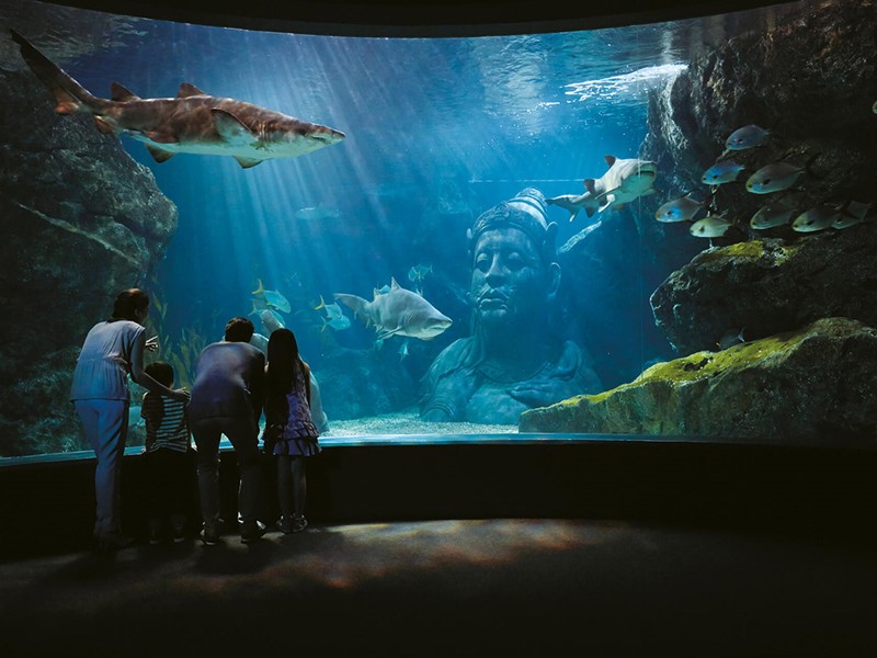 Aquarium Sea Life Ocean World 