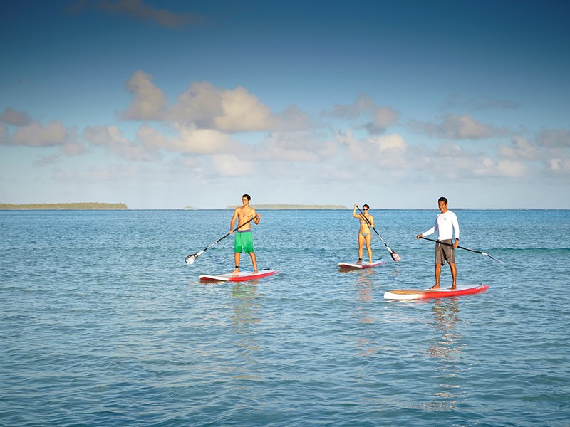 Paddle