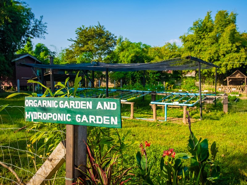Le jardin biologique