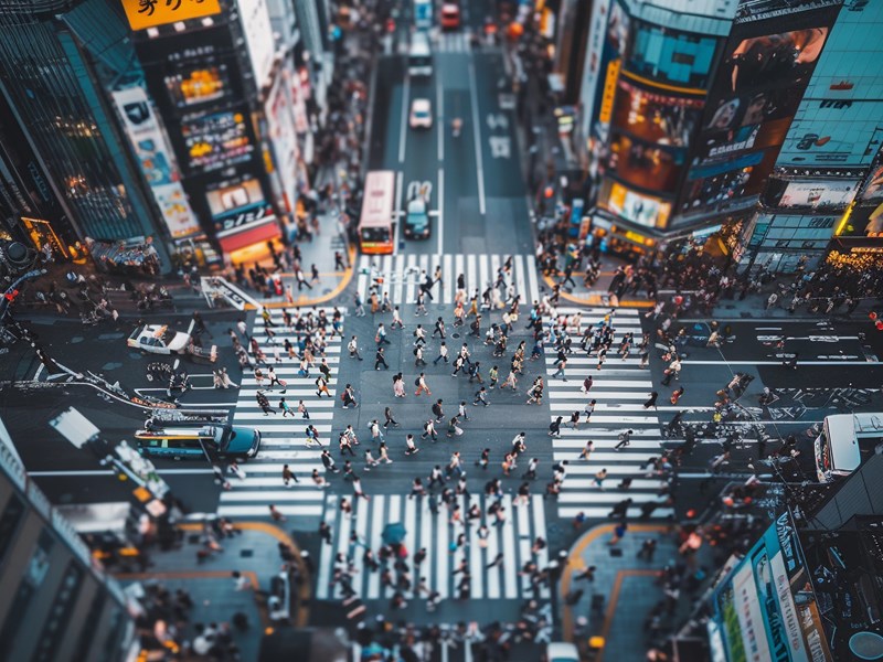 Plongez au coeur de la plus grande agglomération du monde