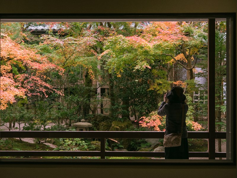 Le jardin de l’Adachi Museum en automne