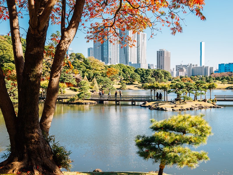 Les jardins Hamarikyu aux couleurs de l’automne