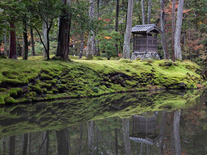 Les couleurs d’automne du temple Saihō-ji