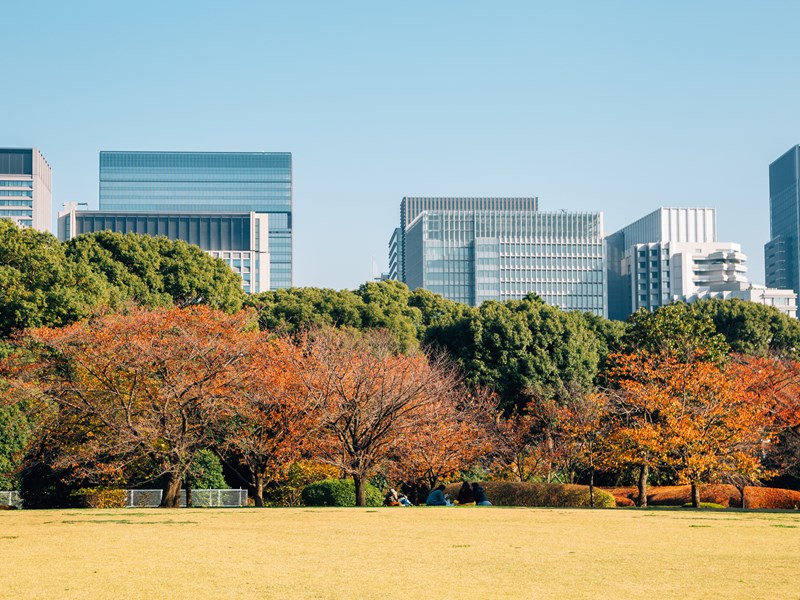 Les jardins Est du Palais impérial de Tokyo
