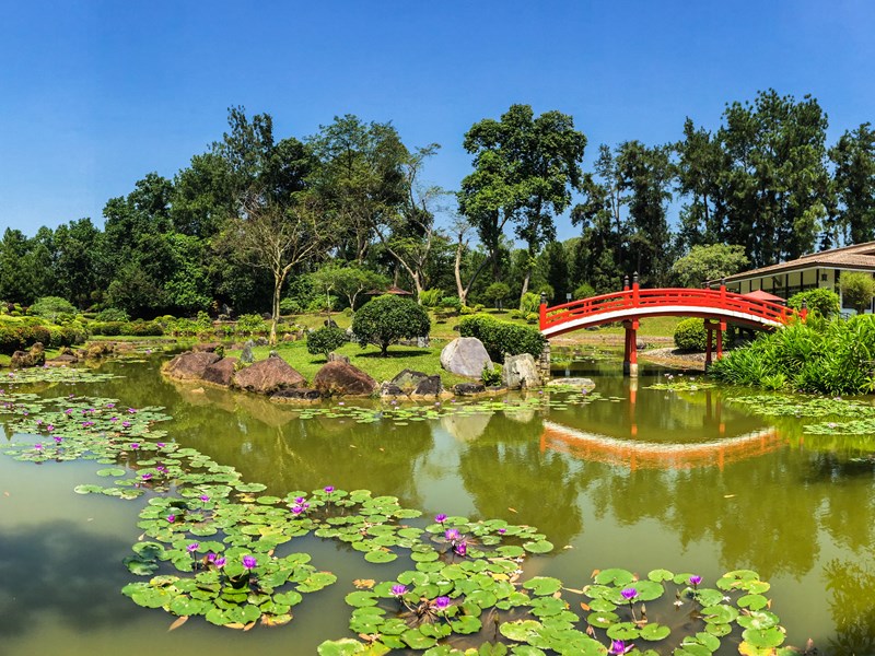 Un jardin japonais entre pont et étang