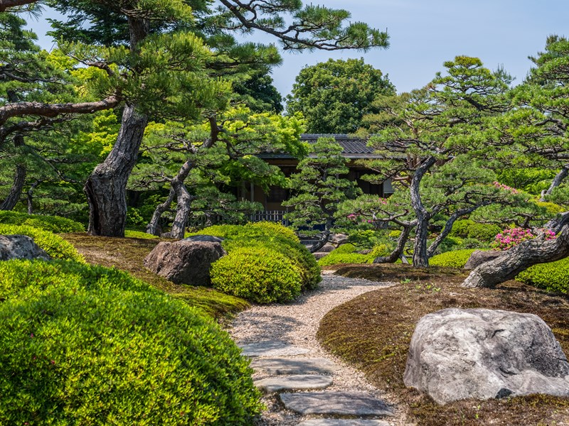 Un écrin de nature au cœur de Matsue