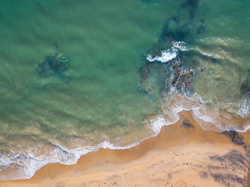 Les couleurs intenses de Nang thong